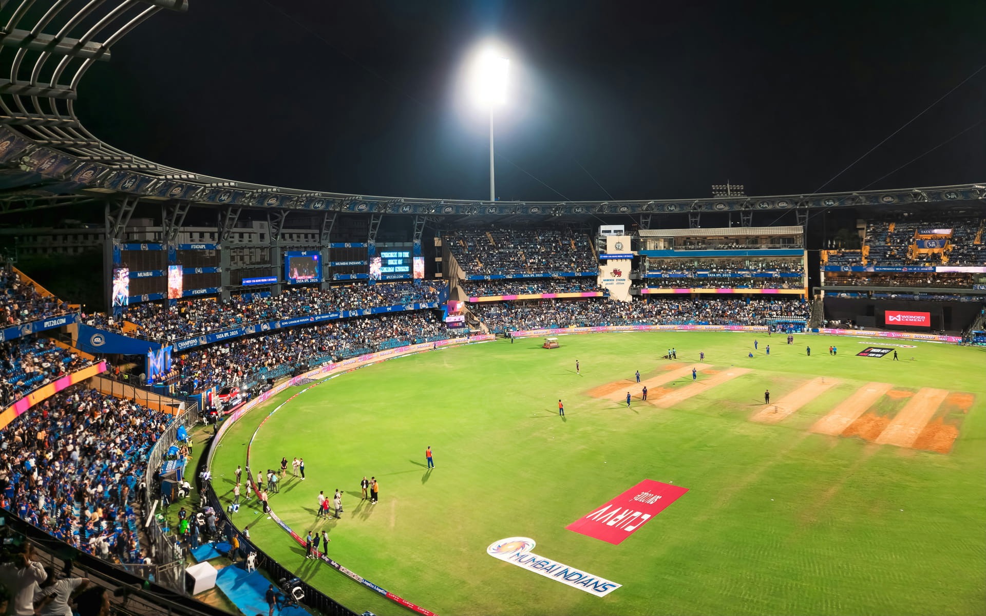 cricket-img5
